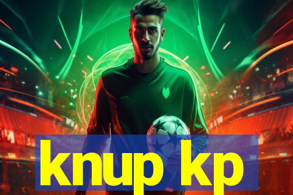 knup kp-t89 driver